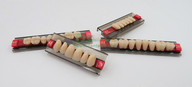 SCS Three layer Synthetic Resin Teeth